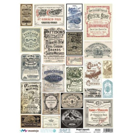 copy of 